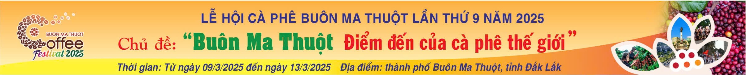 Lễ hội cf 2025